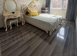 整租·丹建新时代 2室2厅 南/北_丹建新时代租房