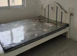 整租·建业森林半岛 3室2厅 南_建业森林半岛租房