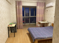 整租·白金公寓 1室1厅 西_白金公寓租房