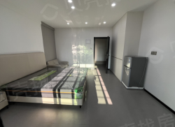 整租·南洋路 1室1厅 南_南洋路租房