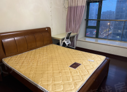 整租·恒大名都 1室0厅 北_恒大名都租房