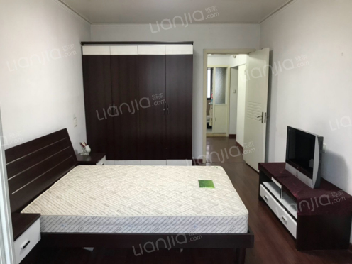 整租·风雷新村 1室1厅 南