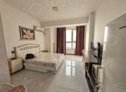 整租·金街公寓 1室0厅 西_金街公寓租房