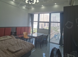 整租·金地时代广场 1室1厅 北_金地时代广场租房