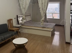 整租·报业尚都 1室0厅 南_报业尚都租房