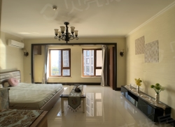 整租·盛和天下 1室1厅 南_盛和天下租房