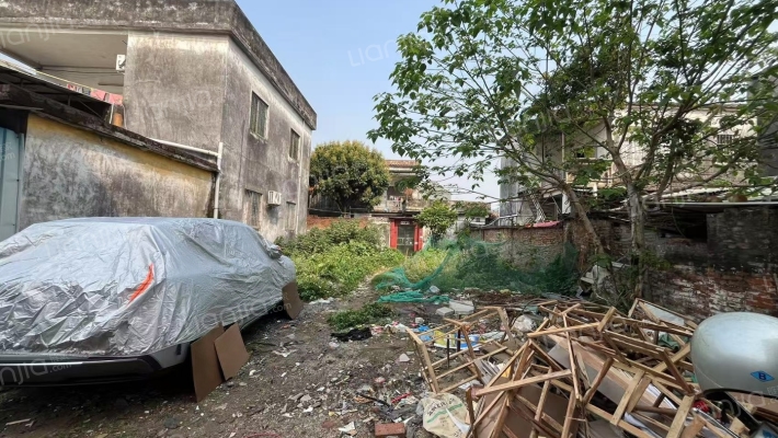 大良单家新滘居委会二手房实景图