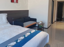 整租·远洋尚东万和 1室1厅 南/北_远洋尚东万和租房