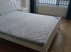 整租·万科未来之光 3室2厅 南_万科未来之光租房