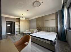 整租·江南·城市公馆 1室1厅 西_江南·城市公馆租房