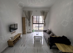 整租·桃花山安置小区 1室1厅 南_桃花山安置小区租房