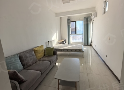 整租·华侨城二期 1室1厅 南_华侨城二期租房