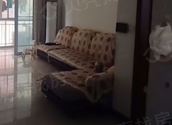 整租·聆湖春天 3室2厅 南_聆湖春天租房