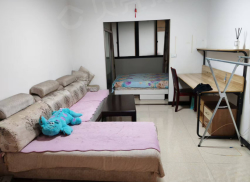 整租·南区路 1室1厅 南_南区路租房