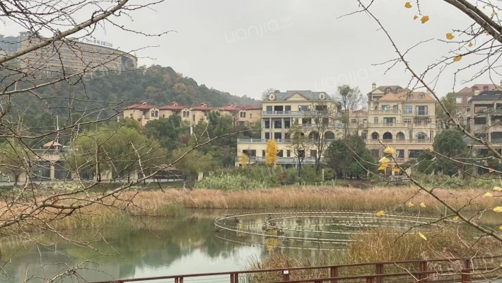 保利公园2010丽池二手房实景图