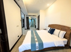 整租·神州半岛君临海 1室1厅 南_神州半岛君临海租房