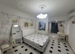 整租·海心沙广场 1室2厅 南_海心沙广场租房