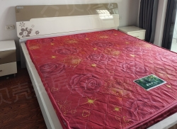 整租·大上海广场玉兰雅苑 2室2厅 东南_大上海广场玉兰雅苑租房