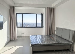 整租·千禧大厦 1室1厅 南_千禧大厦租房