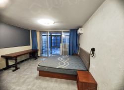 整租·龙旺理想天街 1室1厅 南_龙旺理想天街租房