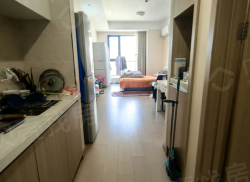 整租·世茂铂悦府 1室1厅 西_世茂铂悦府租房