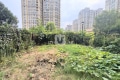 香樟公馆 3室2厅 南