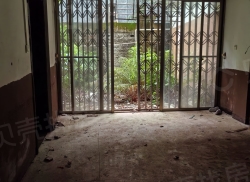 整租·金苑小区 2室0厅 南_金苑小区租房