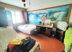 整租·文化街(香坊区) 2室1厅 南_文化街(香坊区)租房