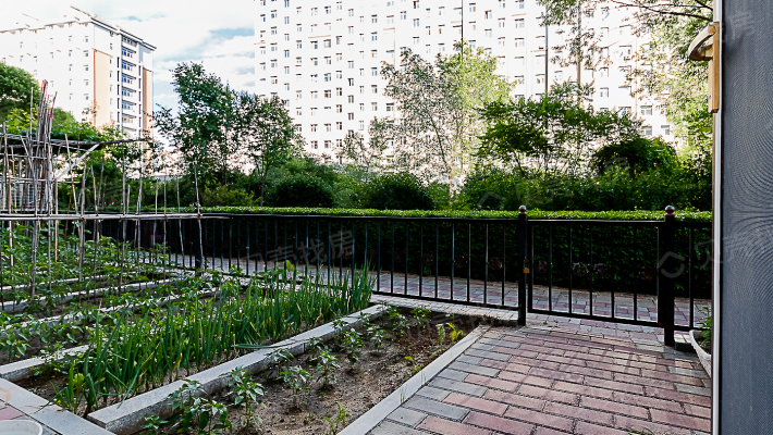 景泰苑  精装1+2复式 一楼带40平花园  过户小税-花园