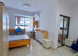 整租·曼弄金湾 1室0厅 南_曼弄金湾租房