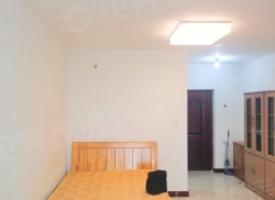 整租·任达佳苑 1室1厅 南_任达佳苑租房