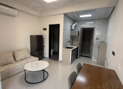 整租·御景新苑北一区 1室1厅 南_御景新苑北一区租房