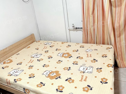 合租·舜玉北区 3居室 北卧