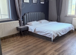 整租·上海大公馆 1室0厅 东北_上海大公馆租房