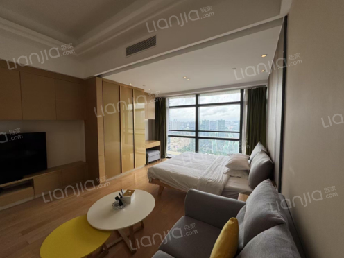 整租·中冶盛世国际广场 1室1厅 南