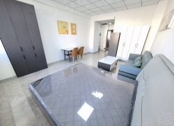 整租·中启·中央广场 1室1厅 北_中启·中央广场租房