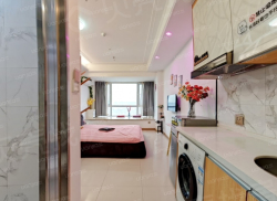 整租·万达广场 1室1厅 北_万达广场租房