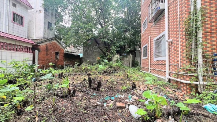 杏坛单家罗水社区二手房实景图