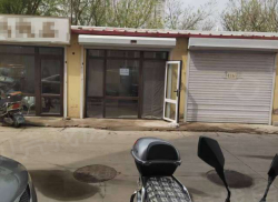 整租·馨园小区 1室1厅 南_馨园小区租房