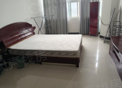 整租·翡翠国际 1室1厅 东南_翡翠国际租房