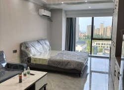 整租·希望城 1室1厅 南_希望城租房