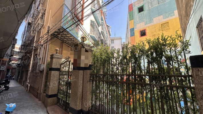 大良单家府又居委会二手房实景图