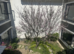 整租·大理的小院子南区四期 4室1厅 东南_大理的小院子南区四期租房