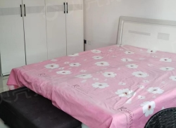 整租·森林春天 1室1厅 南_森林春天租房