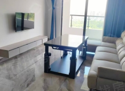 整租·盛棠美岸 2室1厅 南/北_盛棠美岸租房