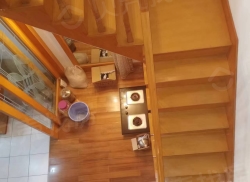 整租·青阳住宅小区 5室3厅 南/北_青阳住宅小区租房