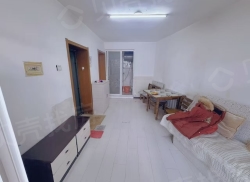 整租·北大二区 1室1厅 南/北_北大二区租房