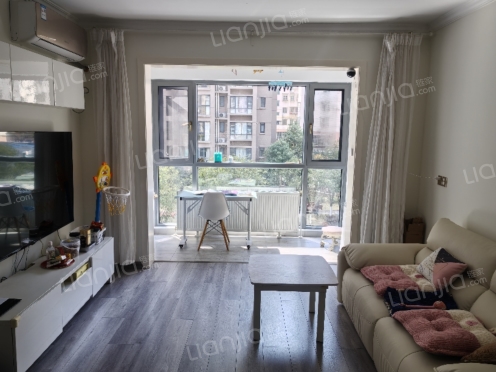 整租·松雅湖壹号 1室1厅 南