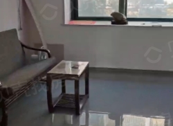 整租·岱西花园 3室2厅 南_岱西花园租房