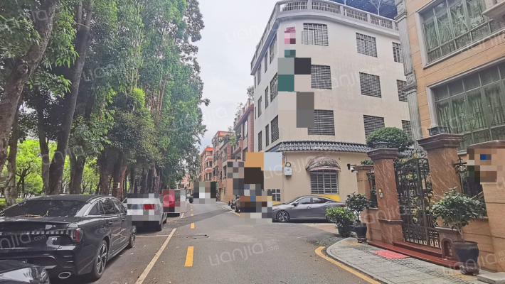 大良单家苏岗居委会二手房实景图